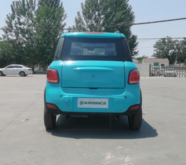 Raysince latest model electric vehicle hot sales right hand frive electric car