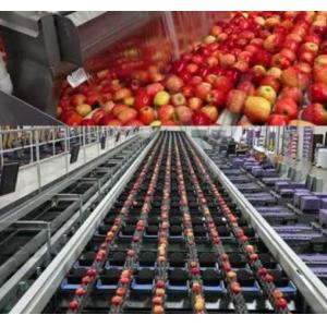 Juice/Jam Processing Line