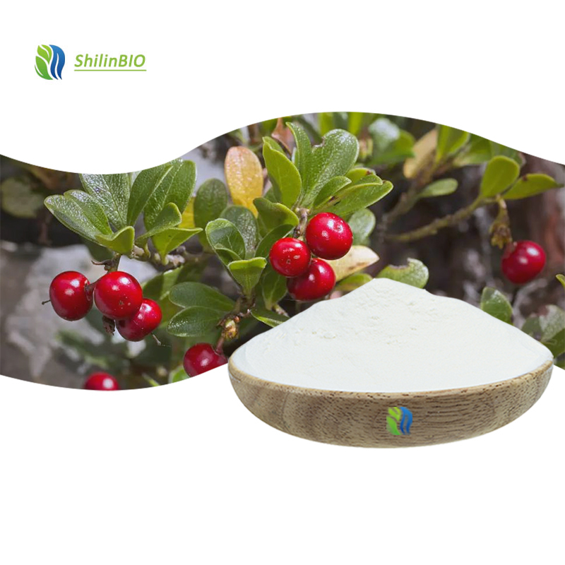 High Quality 90% Ursolic Acid Powder Uva Ursi Leaf Extract Bearberry Extract ISO/HACCP