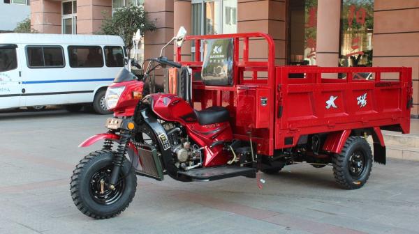 Tuk Tuk Chassis 250cc Zongshen Engine Hot Gasoline Cargo Tricycle for 5.0 Inch 70 Km/h