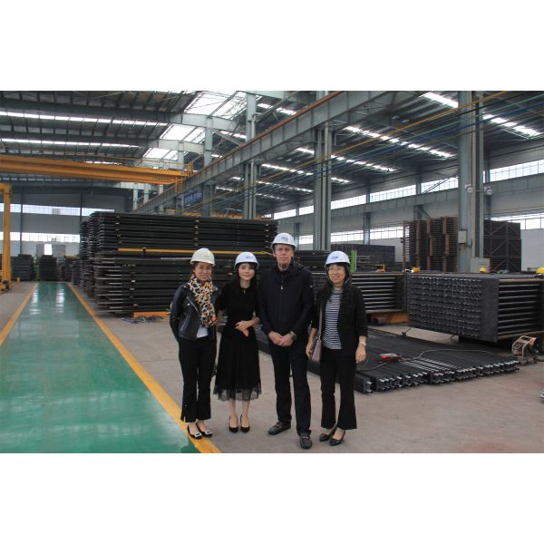 Customized Industrial Grade Spiral Fin Tube with High Stiffness & Low Flow Resistance for Boiler Applications