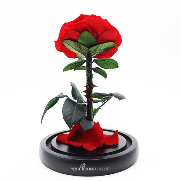 Preserved 14*14*22CM Long Stem Glass Roses For Wedding