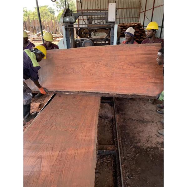 15KW 30KW Wood Portable Sawmill Mobile Wood Milling Machine With Cant Hook