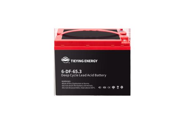Stockage de l'énergie solaire 65Ah Rechargeable à cycle profond batterie au plomb acide 6-DF-65 222*148*174MM 15,8+-0,2kg