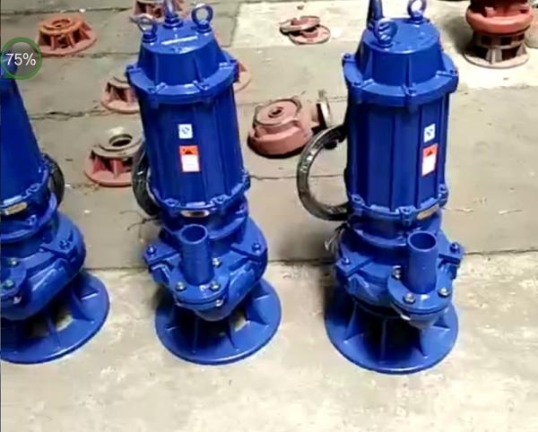 Industrial Electrical Submersible Slurry Pump With Anti Abrasive Material 50hz / 60hz