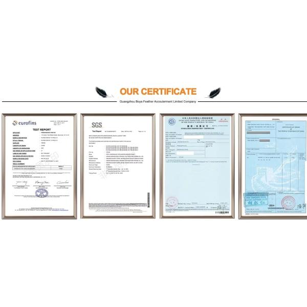 Guangdong Hongfa Import & Export Co., Ltd.