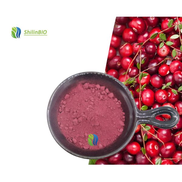 Food Grade Cranberry Extract Powder Cranberry Dried Fruit Cranberry Fruit Powder