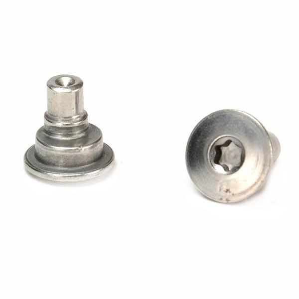 Cold Formed Eccentric Locking Pins  Carbon Steel Stainless Steel  Custom OEM ODM Solutions Cold Heading Eccentric Adjustment Screw SUS304