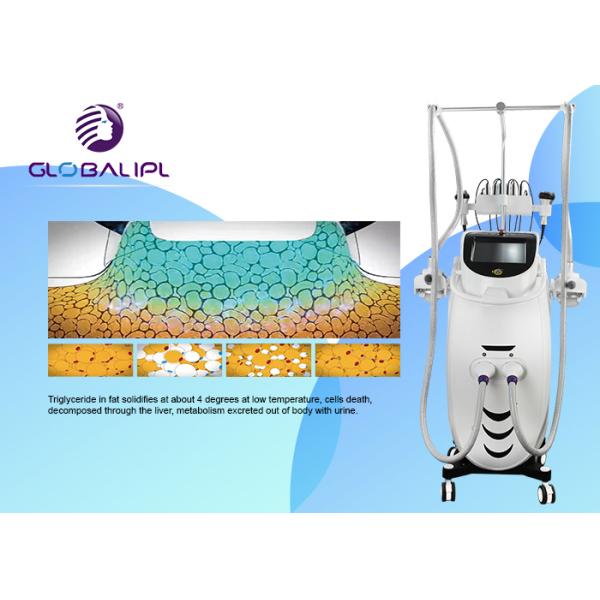 Машина Крйо жирная замерзая Крйолиполысис 360 градусов для высокой эффективности потери веса