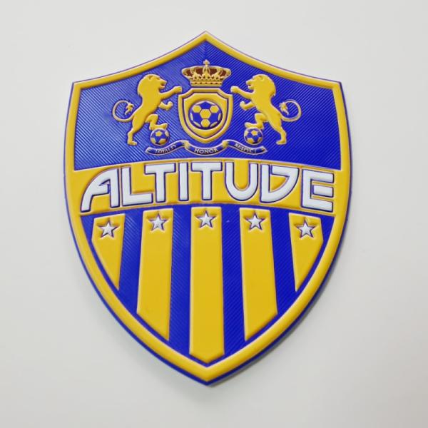 печать логотипа заплаты передачи тепла TPU логотипа основного для известного бренда