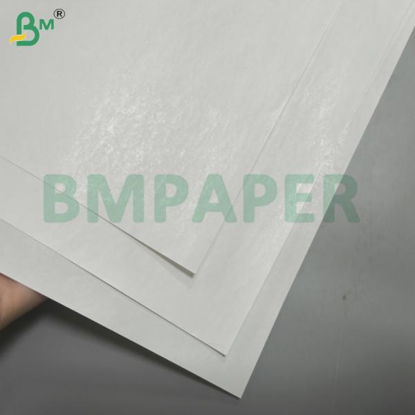 Medical Recording Paper Material 70gsm - 80gsm With Thermal Coating