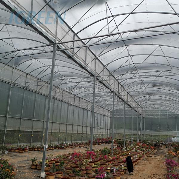 Tropical Sawtooth Hydroponic Greenhouse Kit Customizable 200micron Film Type