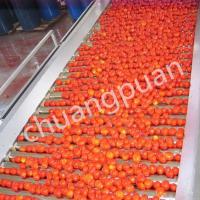 Tube In Tube Or Tular Sterilizer Tomato Paste Production Line 2-20T/H