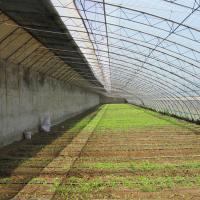 Preservação do calor do período da estufa solar passiva do túnel do filme plástico do inverno única
