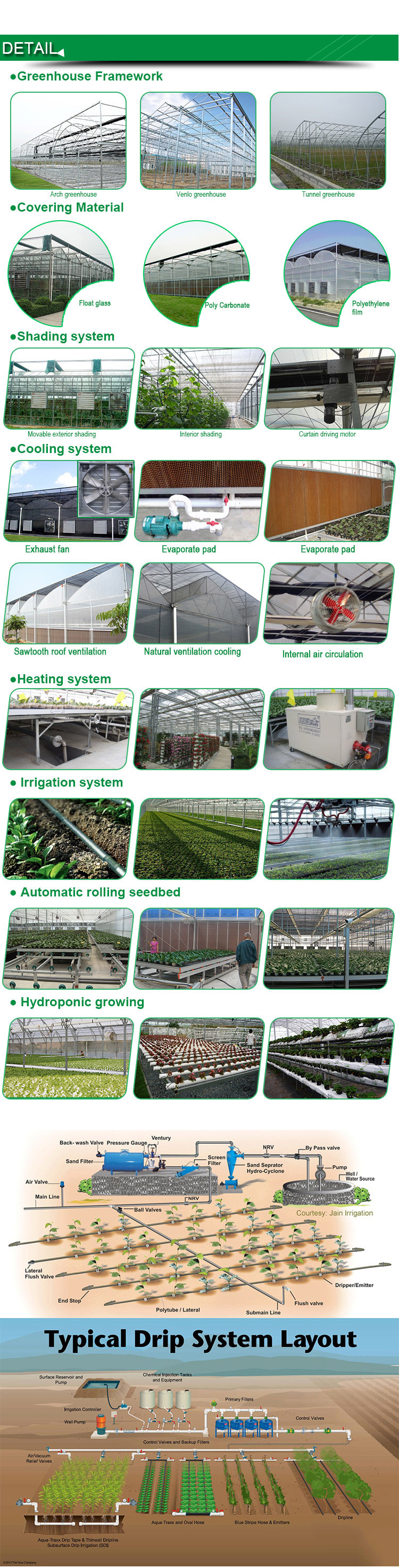 Hydroponic тропический парник Polytunnel зоны с контролем климата
