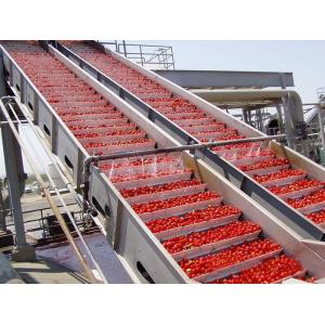 Complete sauce processing machine for tomato processing plants