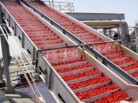 Línea de transformación vegetal de la solución de llavero seguridad para el uso industrial