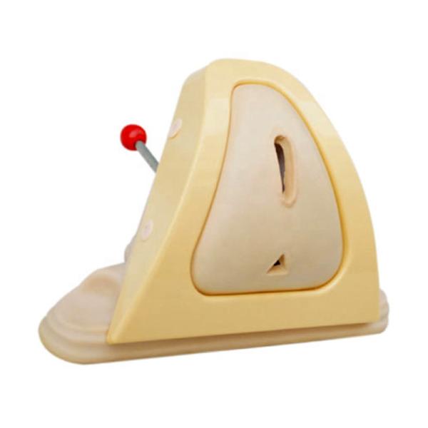 Medical Science Training Perineorrhaphy Stitching Model and Perineum Cutting Simulator