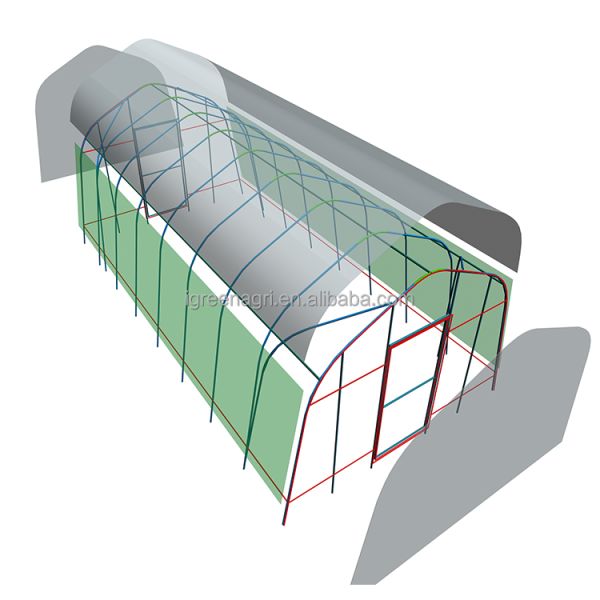 China Small Single-Span Low Tunnel Greenhouse with PE Film Cover Customizable Length