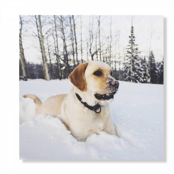 Fridges Flexible Magnet Material Metal Nano Gel Pads Magnetic Adhesive Pads SGS