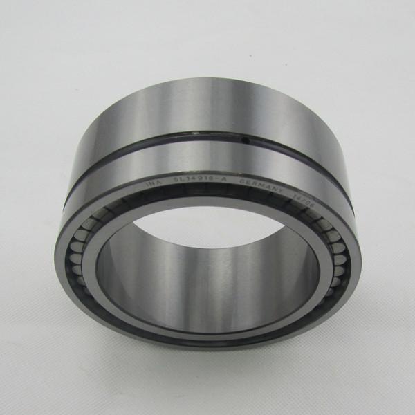 Germany Cylindrical Roller INA Bearing SL14918 For Ceramic Industry