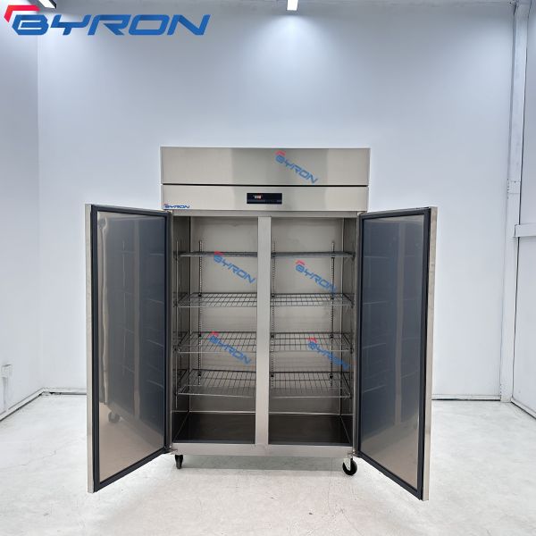 Business Food Glass Door Display Freezer Upright Display Freezer Customized Logo