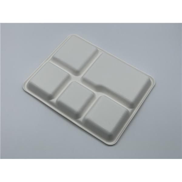 Dinnerware 25g 5 Compartment Biodegradable Food Trays
