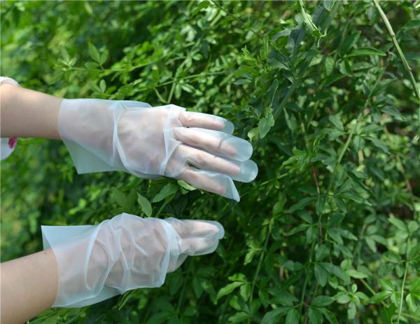Agregado familiar que limpa a elasticidade alta das luvas descartáveis do TPE, confortável para vestir