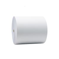 Polpa biodegradável customizável de Logo Paper Cup Raw Material 100% Eco
