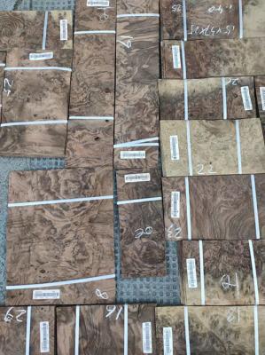 Espessura de Burl Wood 0.50mm da noz preta da umidade de 12%