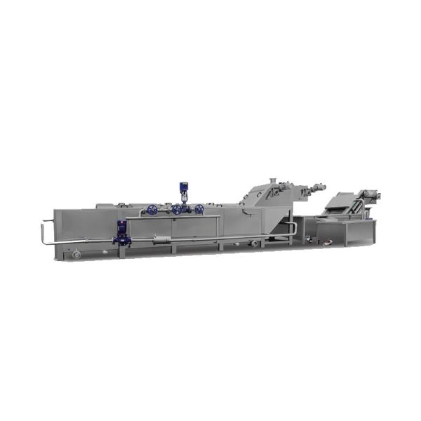 Silver 304 Stainless Steel Potato French Fries Blanching Machine for Your Business