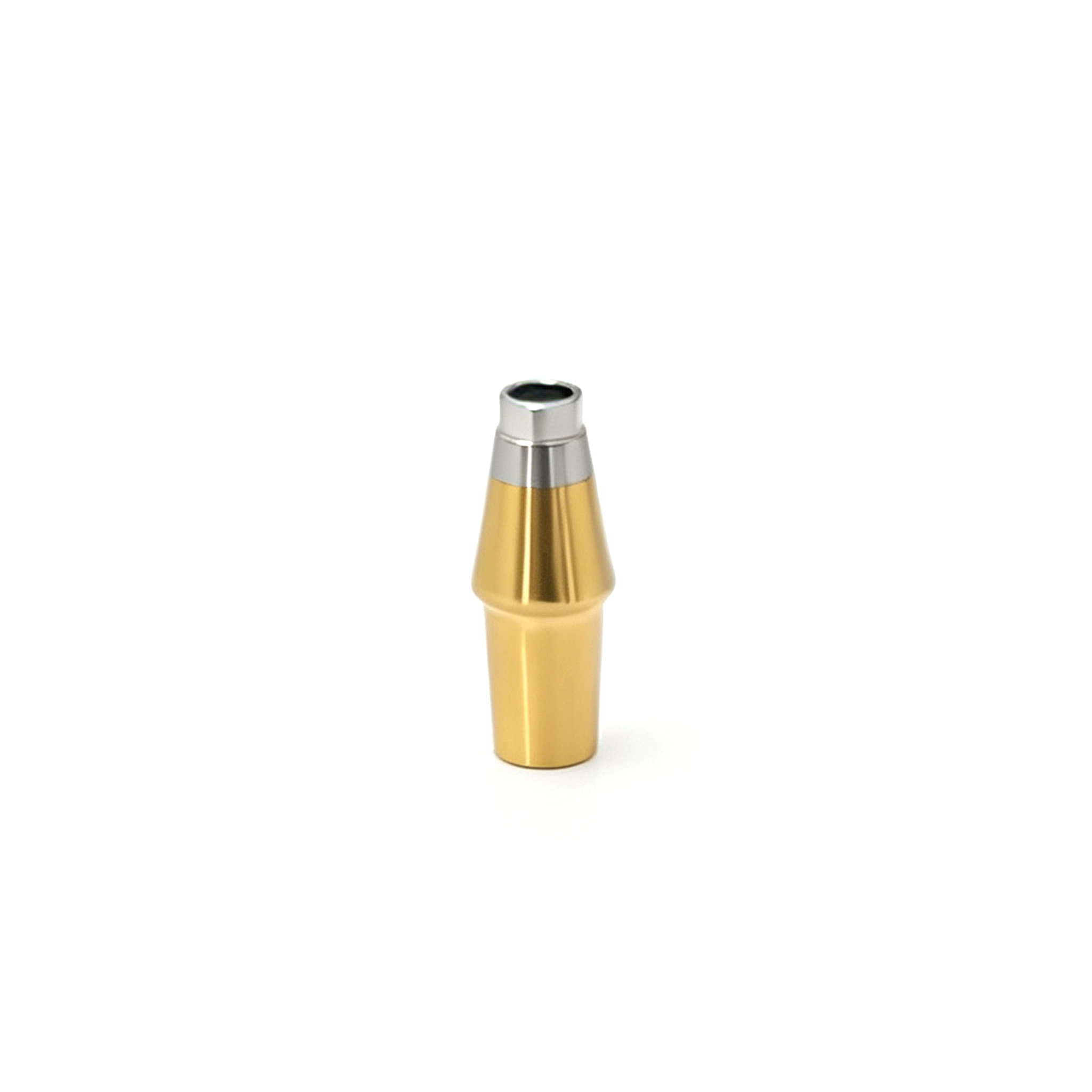 Customized TC4 Titanium Alloy Restoration Straight Abutment with Central Screw