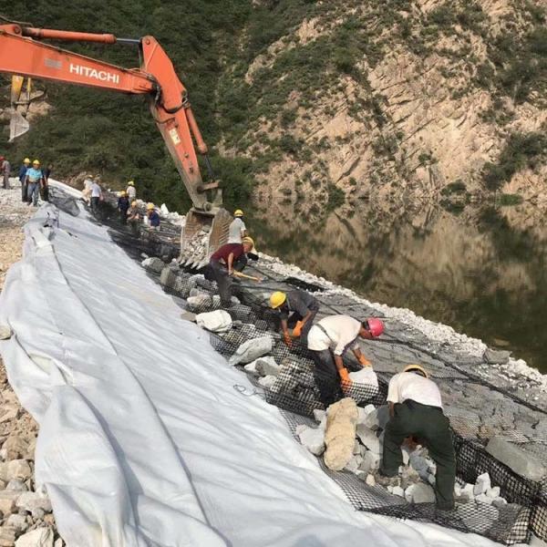 Industrial Design Style Bidirectional Plastic Geogrid for Road Foundation Enhancement
