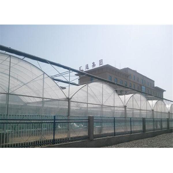 Multi Span Plastic Film Greenhouse For Aquaculture And Livestock Breeding