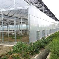 Anúncio publicitário agrícola da multi estufa automática do filme plástico do período industrial