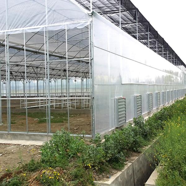 Anúncio publicitário agrícola da multi estufa automática do filme plástico do período industrial