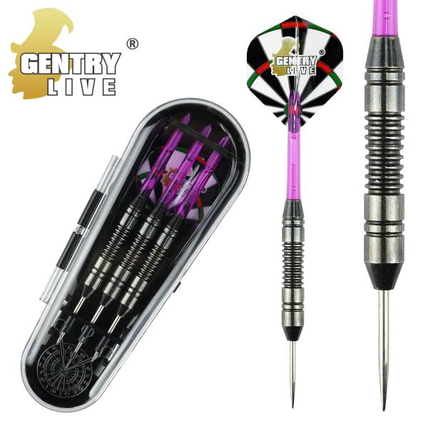 Gentry Live 14-28g Mail Box Brass Steel Darts Set