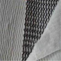 6m Largura Geonet preto e branco Geotextil Drenagem composta Geonet para aterros sanitários