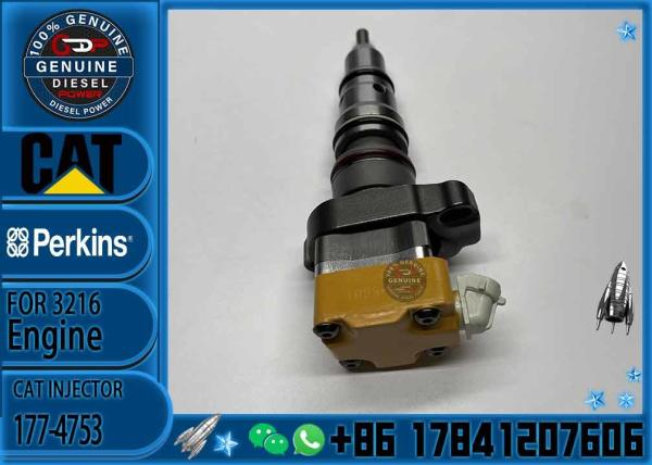 Fuel Injector  171-9704 10R-1306 10R-1257 229-8842 178-6342 178-6343 177-4752 177-4753 For Engine Caterpillar 312