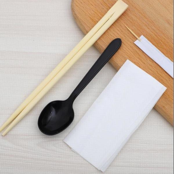 Os utensílios de mesa descartáveis da boa saúde ajustam hashis e colher do guardanapo