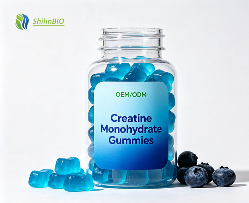 SLBIO Factory Supply OEM/ODM Private Label Package Creatine Monohydrate Gummies Bulk Vegan Food Grade Muscle Growth 60 Count