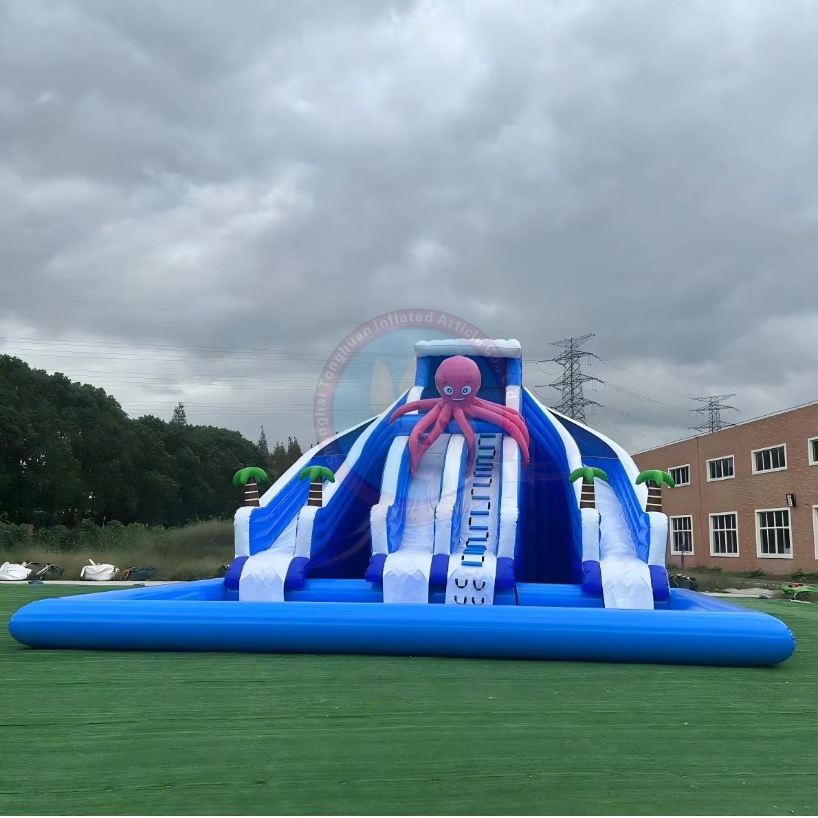 Outdoor Inflatable Water Slide With Pool Custom Cartoon Sea Animal Theme for Family Activities Summer Festivals and Commercial Recreation Projects