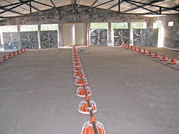 Alminco Grain Silo Cooling Storage System, Chain Conveyor 