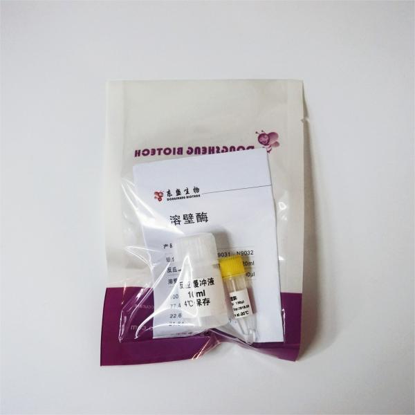 150ul 300ul Lyticase Enzyme N9032 Colourless Solution
