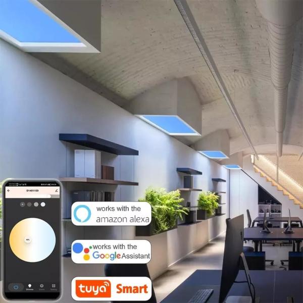 окно дневного света 95РА 60ХЗ поддельное, практически индикаторная панель СИД пр