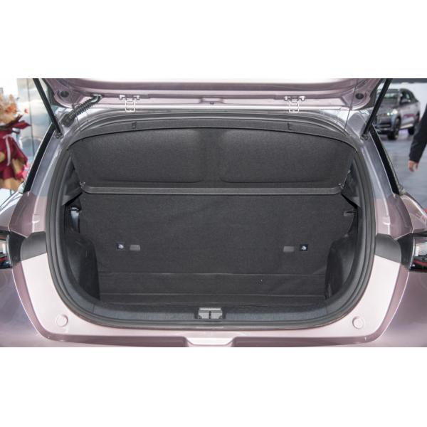 Berline électrique 5 portes 5 places BYD Dolphin 2021 401km Knight Edition