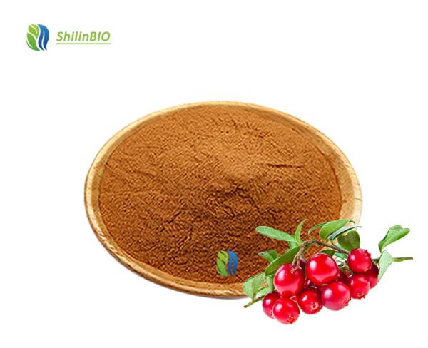 High Quality 10:1 20:1 Schisandra Chinensis Extract Powder Schizandrin