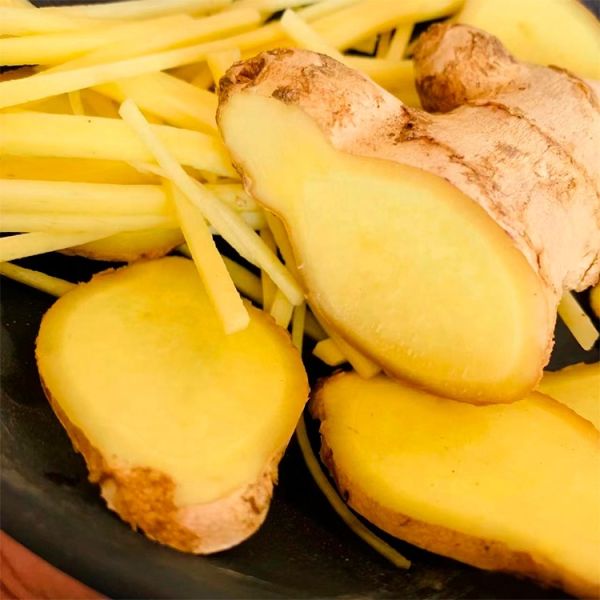 Organic Fresh Ginger in Bulk Manufacturer Price High Quality Fresh Organic