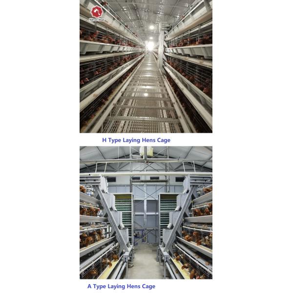 Soncap 3-8tiers Poultry Battery Layer Chicken Cage Hopper Feeding