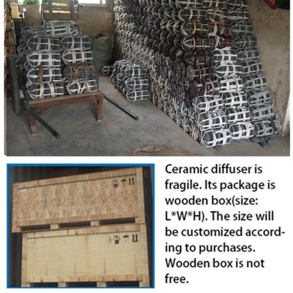 Titanium Ceramic Corundum Ceramic Diffuser